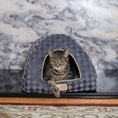 Load image into Gallery viewer, Armarkat Cat Bed C65HHG/LS - Purple/Gray