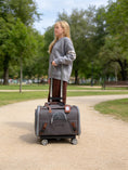 Load image into Gallery viewer, Mr. Peanut's Gold Series Standard Size Airline Compliant Pet Carrier V3.0