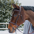 Load image into Gallery viewer, Replacement Noseband of ExionPro Fully Padded Snaffle Bridle with U Shaped Detachable Flash
