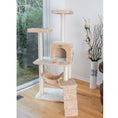 Load image into Gallery viewer, Armarkat Cat Condo GP78570921 - 57-Inch - Beige