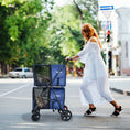 Load image into Gallery viewer, 4-in-1 Double Pet Stroller with Detachable Carrier and Travel Carriage