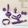 Load image into Gallery viewer, Velvet Purple Set