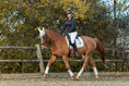 Load image into Gallery viewer, Snowlight Saddle Pad