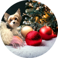 Load image into Gallery viewer, 3" Custom Ceramic Ornament