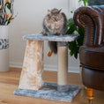 Load image into Gallery viewer, Armarkat Sisal Cat Furniture X2001 - Silver/Gray