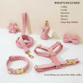 Load image into Gallery viewer, Pink Velvet Set