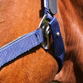 Load image into Gallery viewer, Magna Halter ™ in Blue with Leather Breakaway