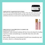 My Fabulous Essentials Box- SPA