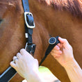 Load image into Gallery viewer, Southlake Paws Magna Halter ™ in Black, featuring a fleece noseband and leather breakaway, being adjusted on a horse.