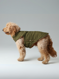 Load image into Gallery viewer, Reversible Dog Vest Jacket - Green Brown
