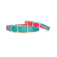 Load image into Gallery viewer, Pippa Dog Collar