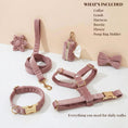 Load image into Gallery viewer, Light Purple Velvet Set