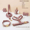Load image into Gallery viewer, Light Purple Velvet Set