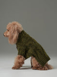 Load image into Gallery viewer, GLACIER PET SWEATER - OLIVE GREEN