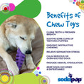 Load image into Gallery viewer, Fish Bone Nylon Dog Toy for Aggressive Chewers | USA Made | SodaPup