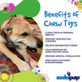 Load image into Gallery viewer, Flower Tower Nylon Chew Toy for Aggressive Chewers - USA Made Enrichment Toy