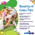 Load image into Gallery viewer, MOD Wishbone Nylon Dog Chew Toy for Aggressive Chewers | USA Made
