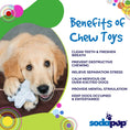 Load image into Gallery viewer, Snowflake Nylon Dog Chew Toy for Aggressive Chewers | USA Made & FDA Compliant