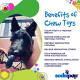 Load image into Gallery viewer, Vampire Bat Nylon Dog Chew Toy for Aggressive Chewers | USA Made & FDA Compliant