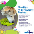 Load image into Gallery viewer, Four Seasons eTray - Shallow Slow Feeder Dog Bowl for Enrichment | USA Made