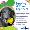 Load image into Gallery viewer, Honey Bear eDispenser - Durable Rubber Treat Dispenser for Dogs | USA Made