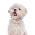 Load image into Gallery viewer, 4-Row Pearls Dog Necklace with Rhinestone Heart Pendant - Southlake Paws
