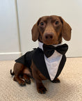 Load image into Gallery viewer, Dog Tuxedo