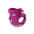 Load image into Gallery viewer, Joana Cat Harness & Leash Set
