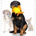 Load image into Gallery viewer, mighty® Ocean Series - Goldfish