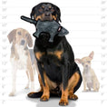Load image into Gallery viewer, tuffy® Barnyard Series - Mouse