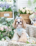 Luxury design dog dress vintage lace