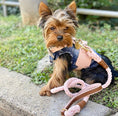 Load image into Gallery viewer, HARNESS - BELLA ROSE