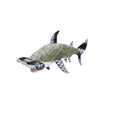 Load image into Gallery viewer, mighty® Ocean Series - Hammerhead