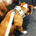 Load image into Gallery viewer, The "Maximus" leash white & gold