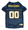 Load image into Gallery viewer, Michigan Wolverines Hunter College Dog Jersey - Official College Sports Pet Fan Apparel