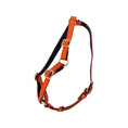 Load image into Gallery viewer, Orange Snake Harness