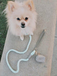 Load image into Gallery viewer, WASTE BAG HOLDER - DESERT MINT