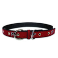 Load image into Gallery viewer, Atlanta Falcons Signature Pro Collar