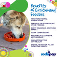 Load image into Gallery viewer, Sun and Moon eTray - Shallow Slow Feeder Dog Bowl for Enrichment | USA Made