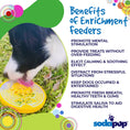 Load image into Gallery viewer, Earth eCoin Nylon Lick Mat for Dogs | USA Made Enrichment Toy | SodaPup