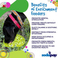 Load image into Gallery viewer, Citrus Design eMat - Enrichment Lick Mat For Dogs and Cats - with Suction Cups | USA Made