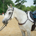 Load image into Gallery viewer, Free Motion Breastplate with Double Neck Strap