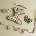 Load image into Gallery viewer, Sage & Cider Leash