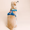 Load image into Gallery viewer, Atlas Dog Harness