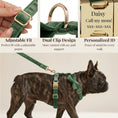 Load image into Gallery viewer, Forest Green Velvet Set
