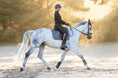 Load image into Gallery viewer, Stardust Grey Saddle Pad Set