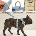 Load image into Gallery viewer, Light Blue Teddy Set