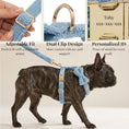 Load image into Gallery viewer, Light Blue Teddy Set