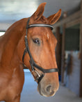 Load image into Gallery viewer, Anatomic Bridle with Crystal Browband