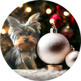 Load image into Gallery viewer, 3" Custom Ceramic Ornament
